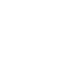 Brain icon